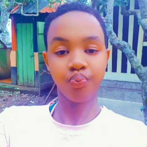 allex s. profile photo