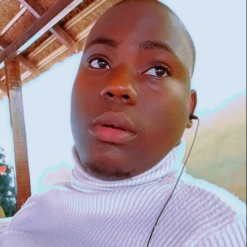 Martin d. profile photo