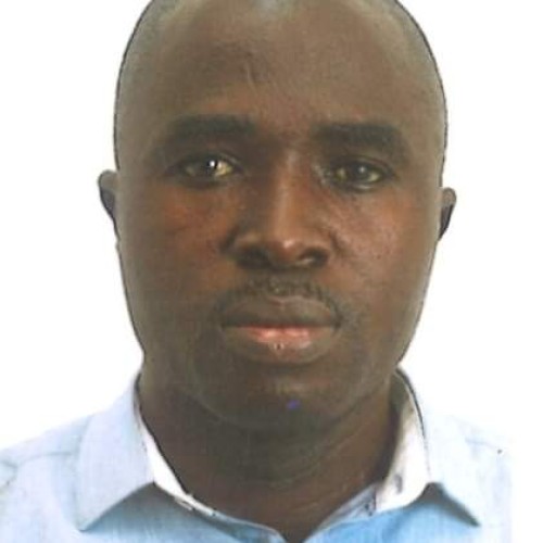 Elvis Dankwa T.