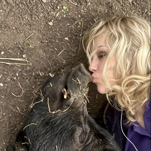 Angie J. profile photo