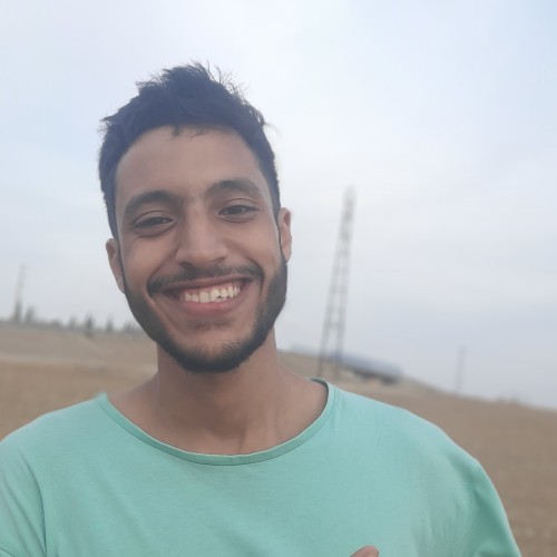 mouhssine e.