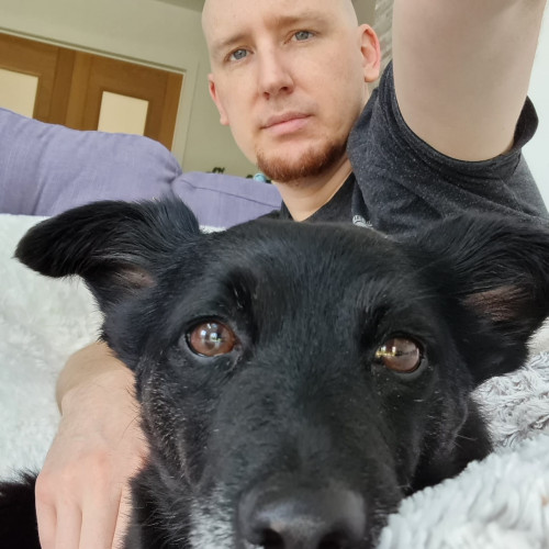 Alex P. profile photo
