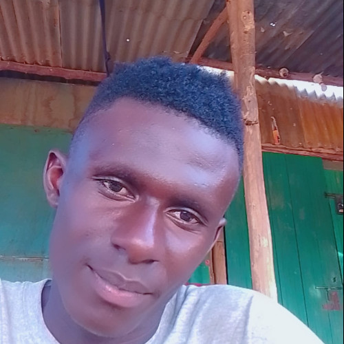 Evans M. profile photo