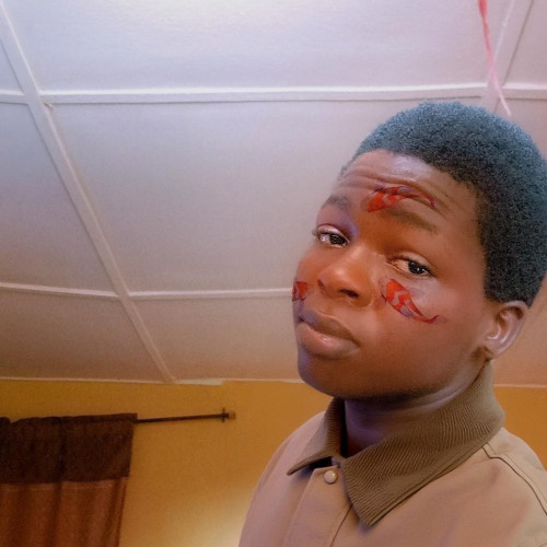 Adeniyi D. profile photo