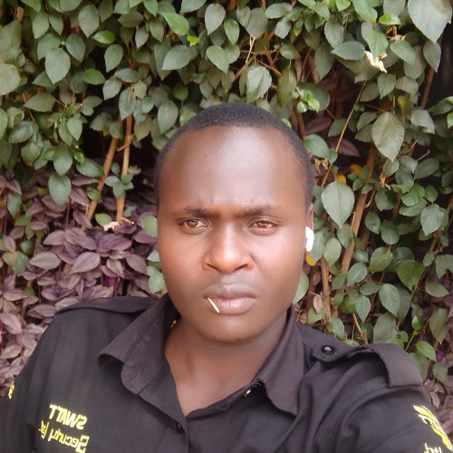 Dan K. profile photo