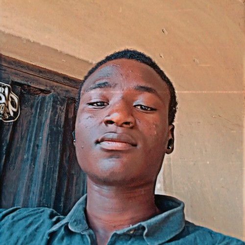 Adedamola A. profile photo