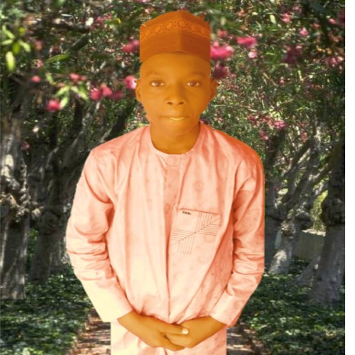 ALAMIN N.