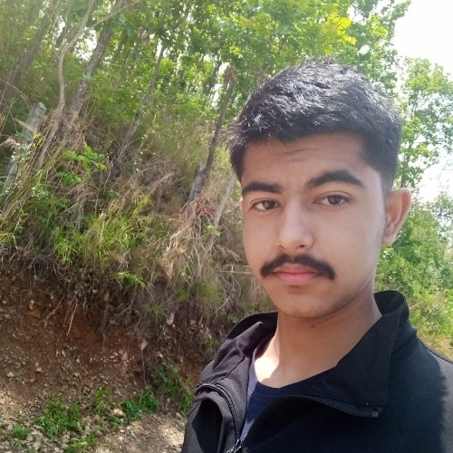 Arnab B.