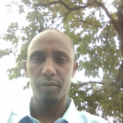Ibrahim  A. profile photo
