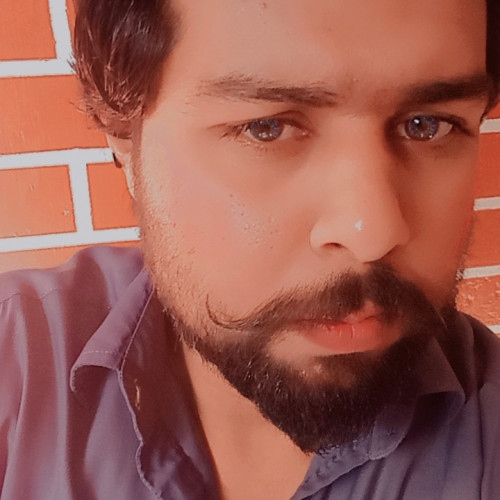 Hassnain  A. profile photo