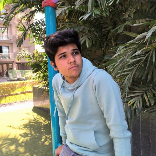aaditya s.