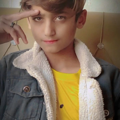 Shahzaib  J.
