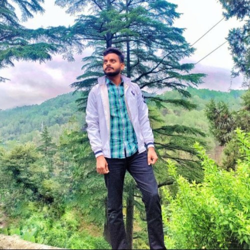 Anish K.