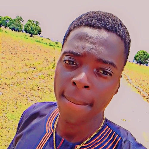 Shepherd S. profile photo