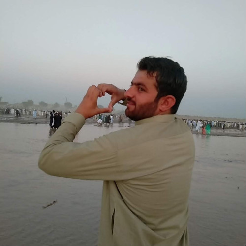 Kashi K. profile photo