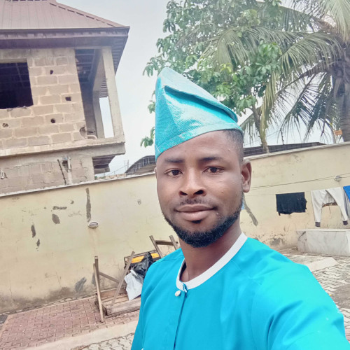 olatunde a. profile photo