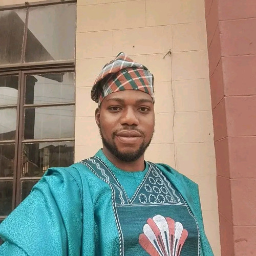 Olaoluwa A. profile photo