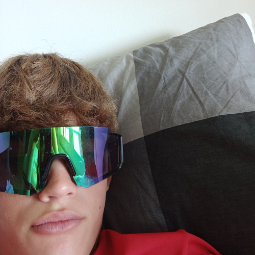Stefano  P. profile photo