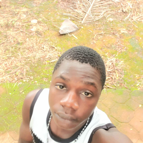 Christian  N. profile photo