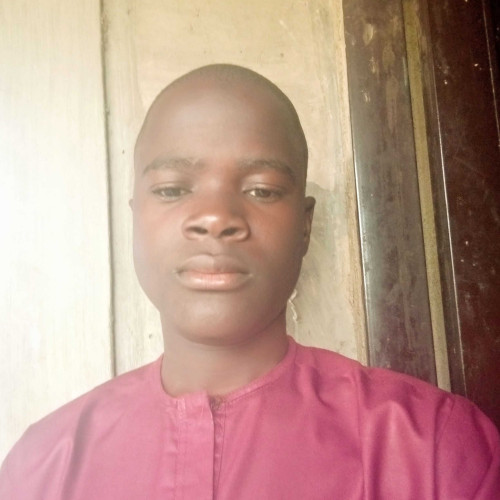 USMAN N. profile photo