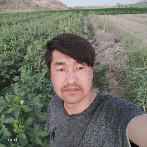 Aliakbar  M. profile photo
