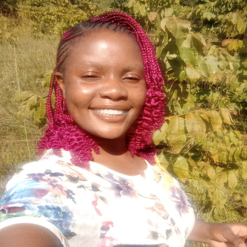 Sibe I. profile photo