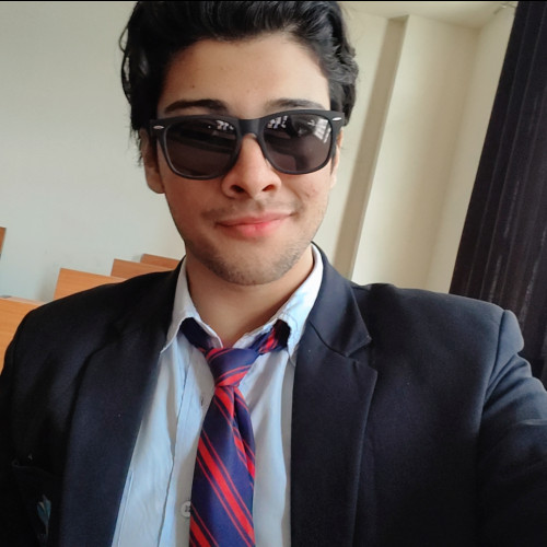 Ansh S. profile photo