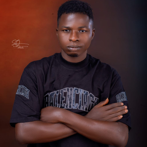 OLASUNKANMI  A. profile photo