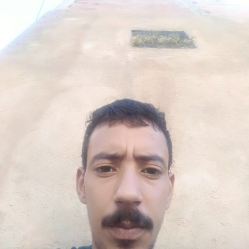 Noureddine  A. profile photo
