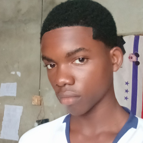 David  C. profile photo