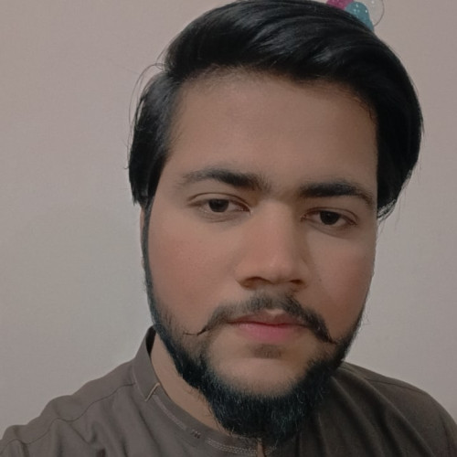 Tayyab S. profile photo