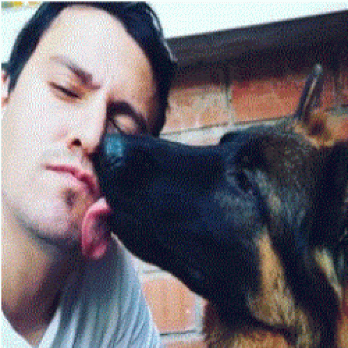 Gonzalo V. profile photo