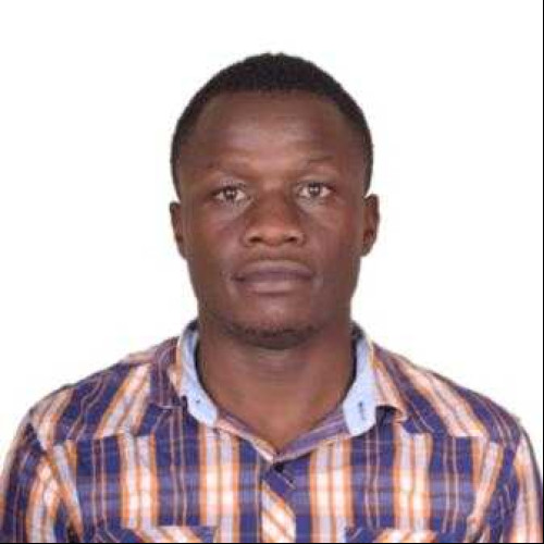 Elly K. profile photo