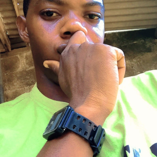 Sobowale O. profile photo
