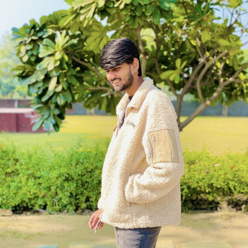 Piyush K.