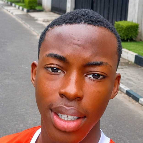 Chuks E. profile photo
