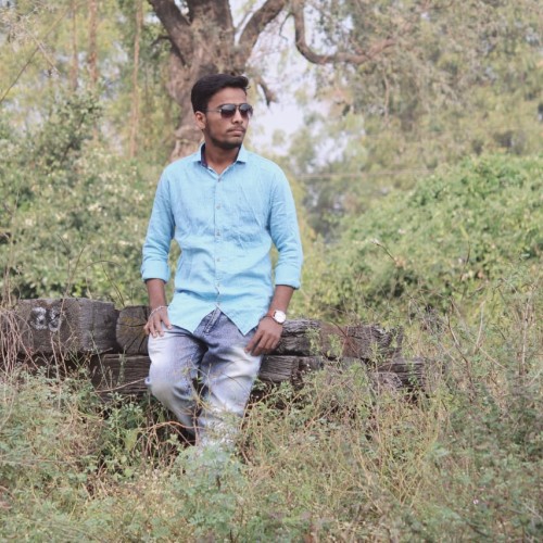 Bhupendra  R.