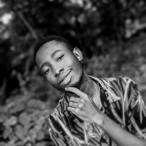 David S. profile photo