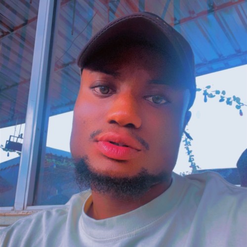 Shamsideen O. profile photo
