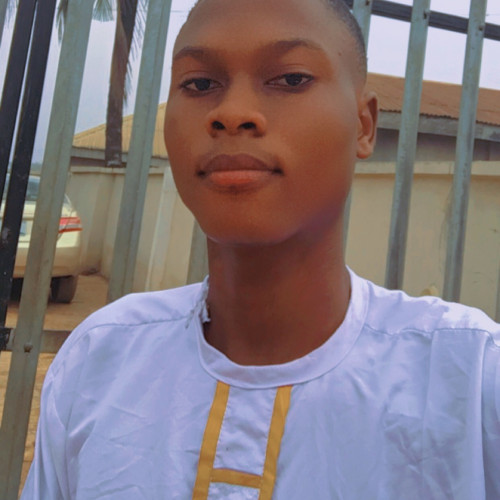 Oseni  O. profile photo