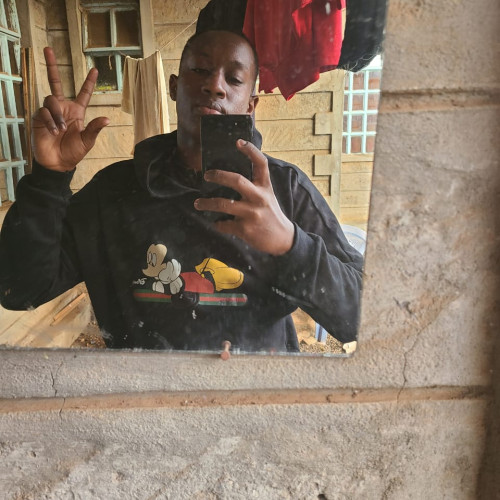 Jerry M. profile photo