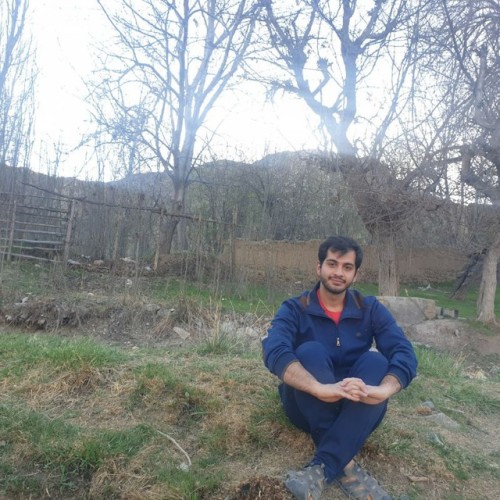 omid n. profile photo