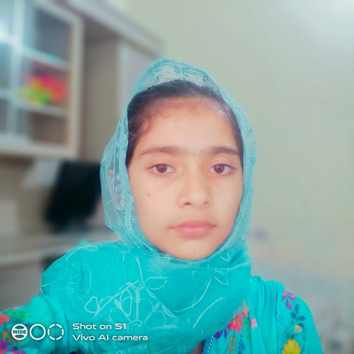Zainab T.