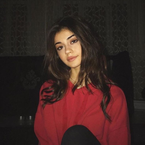 Lily P. profile photo