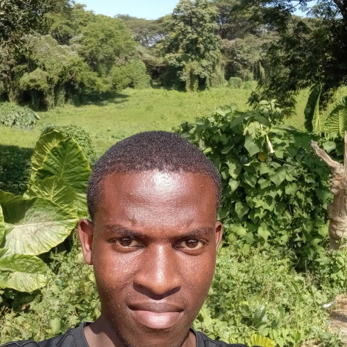 Wisdom M. profile photo