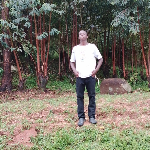 Denis K. profile photo