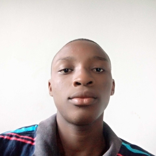David e. profile photo