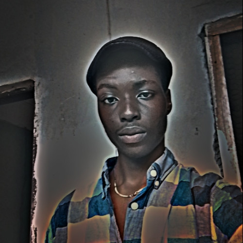 ogbechie p. profile photo
