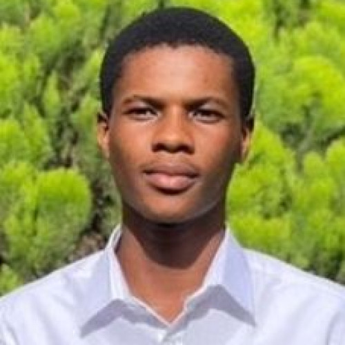 Kingsley  S. profile photo