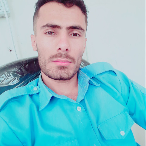 Arman M. profile photo